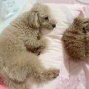 ヒメ日記 2026/05/18 23:59 投稿 ちか☆爆乳ロリ系神カワJK JKサークル