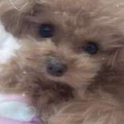 ヒメ日記 2026/08/02 11:08 投稿 ちか☆爆乳ロリ系神カワJK JKサークル