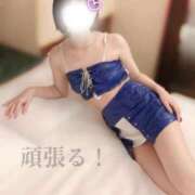 ヒメ日記 2026/02/10 00:11 投稿 北野 ななせ あなたの性癖教えてください 古川店