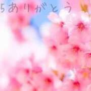 ヒメ日記 2024/02/17 00:41 投稿 桜木 ひな あなたの性癖教えてください 古川店