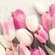 ヒメ日記 2025/03/08 00:21 投稿 桜木 ひな あなたの性癖教えてください 古川店