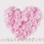 ヒメ日記 2025/03/14 17:21 投稿 桜木 ひな あなたの性癖教えてください 古川店