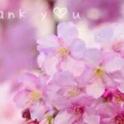 ヒメ日記 2025/04/03 00:51 投稿 桜木 ひな あなたの性癖教えてください 古川店