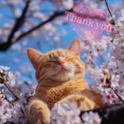 ヒメ日記 2025/04/10 20:21 投稿 桜木 ひな あなたの性癖教えてください 古川店