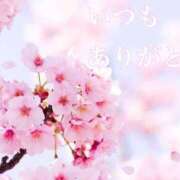 ヒメ日記 2025/04/24 18:21 投稿 桜木 ひな あなたの性癖教えてください 古川店