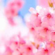 ヒメ日記 2025/05/05 00:41 投稿 桜木 ひな あなたの性癖教えてください 古川店