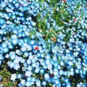 ヒメ日記 2025/05/06 22:01 投稿 桜木 ひな あなたの性癖教えてください 古川店