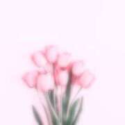 ヒメ日記 2025/05/21 21:21 投稿 桜木 ひな あなたの性癖教えてください 古川店