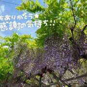 ヒメ日記 2025/05/23 13:51 投稿 桜木 ひな あなたの性癖教えてください 古川店