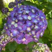 ヒメ日記 2025/06/19 17:01 投稿 桜木 ひな あなたの性癖教えてください 古川店