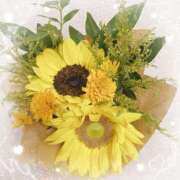 ヒメ日記 2025/07/26 02:11 投稿 桜木 ひな あなたの性癖教えてください 古川店