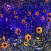 ヒメ日記 2025/08/22 19:02 投稿 桜木 ひな あなたの性癖教えてください 古川店