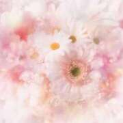 ヒメ日記 2025/08/26 22:51 投稿 桜木 ひな あなたの性癖教えてください 古川店