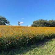 ヒメ日記 2025/10/07 17:31 投稿 桜木 ひな あなたの性癖教えてください 古川店