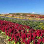 ヒメ日記 2025/10/15 00:21 投稿 桜木 ひな あなたの性癖教えてください 古川店