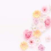 ヒメ日記 2025/11/06 18:41 投稿 桜木 ひな あなたの性癖教えてください 古川店