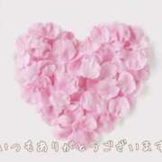 ヒメ日記 2025/12/09 08:31 投稿 桜木 ひな あなたの性癖教えてください 古川店