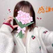 ヒメ日記 2026/02/18 00:01 投稿 桜木 ひな あなたの性癖教えてください 古川店