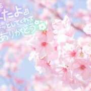ヒメ日記 2026/02/28 10:21 投稿 桜木 ひな あなたの性癖教えてください 古川店
