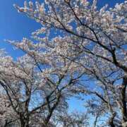 ヒメ日記 2026/03/20 11:21 投稿 桜木 ひな あなたの性癖教えてください 古川店