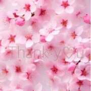 ヒメ日記 2026/04/04 09:41 投稿 桜木 ひな あなたの性癖教えてください 古川店