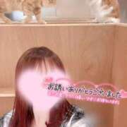 ヒメ日記 2026/08/19 22:01 投稿 桜木 ひな あなたの性癖教えてください 古川店