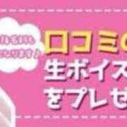 ヒメ日記 2025/02/08 10:41 投稿 新田 ななみ あなたの性癖教えてください 古川店