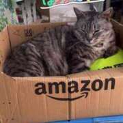 ヒメ日記 2025/03/12 17:31 投稿 新田 ななみ あなたの性癖教えてください 古川店