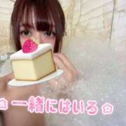 ヒメ日記 2025/04/06 14:21 投稿 新田 ななみ あなたの性癖教えてください 古川店