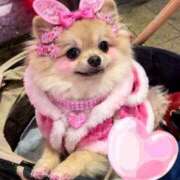 ヒメ日記 2025/12/24 15:01 投稿 新田 ななみ あなたの性癖教えてください 古川店