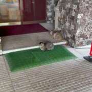 ヒメ日記 2026/03/22 15:41 投稿 新田 ななみ あなたの性癖教えてください 古川店