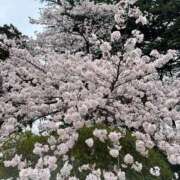 ヒメ日記 2026/04/07 18:02 投稿 新田 ななみ あなたの性癖教えてください 古川店