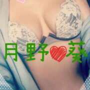 ヒメ日記 2025/07/20 15:41 投稿 月野 葵 あなたの性癖教えてください 古川店