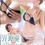 月野 葵 本日、出勤します(＞Д＜)ゝ” あなたの性癖教えてください 古川店