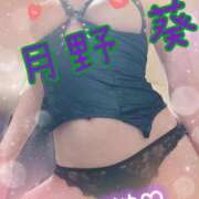 ヒメ日記 2026/02/06 22:41 投稿 月野 葵 あなたの性癖教えてください 古川店