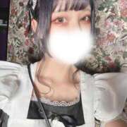 ヒメ日記 2025/06/24 14:26 投稿 あんず 変態なんでも鑑定団