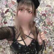 あんず 12月前半予定更新🗓️ 変態なんでも鑑定団