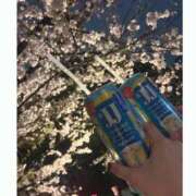 ヒメ日記 2025/04/03 18:24 投稿 めぐる 上野デリヘル倶楽部