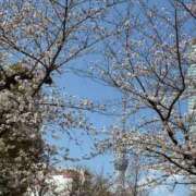 ヒメ日記 2025/04/06 13:31 投稿 めぐる 上野デリヘル倶楽部