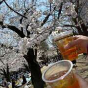 ヒメ日記 2026/03/13 11:54 投稿 めぐる 上野デリヘル倶楽部