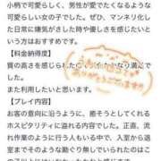 ヒメ日記 2023/09/24 17:20 投稿 こゆきちゃん 仙台手こき専門店 ネコの手