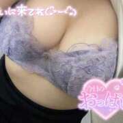 ヒメ日記 2025/10/03 10:20 投稿 うさぎ One More奥様 大宮店