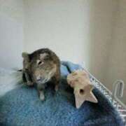 ヒメ日記 2024/12/17 21:46 投稿 あんず 丸妻 横浜本店