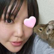 ヒメ日記 2025/01/29 07:41 投稿 あんず 丸妻 横浜本店