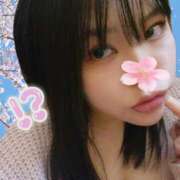 ヒメ日記 2025/04/17 10:09 投稿 あんず 丸妻 横浜本店