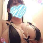 ヒメ日記 2025/06/12 17:24 投稿 あんず 丸妻 横浜本店