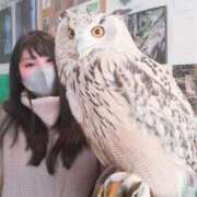 ヒメ日記 2025/09/12 22:31 投稿 あんず 丸妻 横浜本店