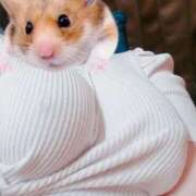 ヒメ日記 2025/10/13 21:58 投稿 あんず 丸妻 横浜本店