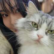 ヒメ日記 2025/11/17 20:35 投稿 あんず 丸妻 横浜本店