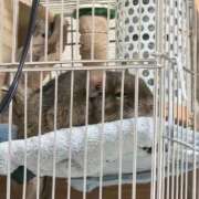 ヒメ日記 2025/11/19 08:17 投稿 あんず 丸妻 横浜本店